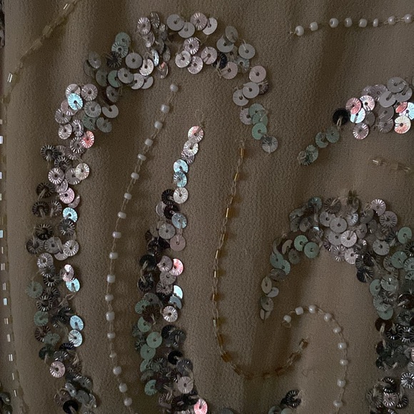 Women's Midnight Velvet Beige Dress with White, Silver, and Gold Embellishments - Picture 6 of 12